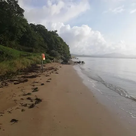 Mchugh's Loft בית הארחה